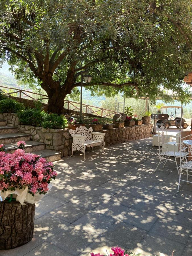 Agriturismo Nonno Luigino ヴィーコ・エクエンセ エクステリア 写真