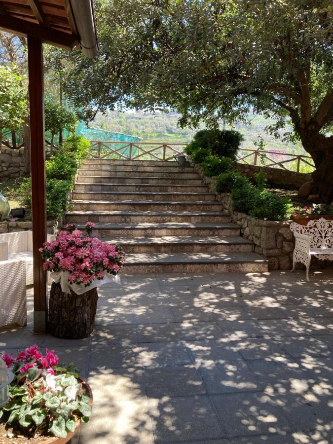 Agriturismo Nonno Luigino ヴィーコ・エクエンセ エクステリア 写真