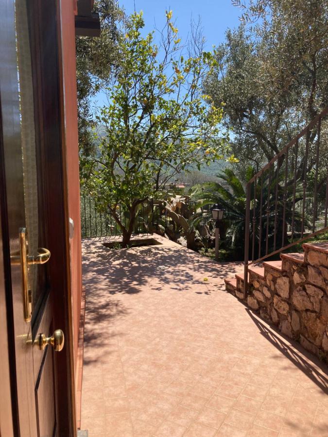 Agriturismo Nonno Luigino ヴィーコ・エクエンセ エクステリア 写真