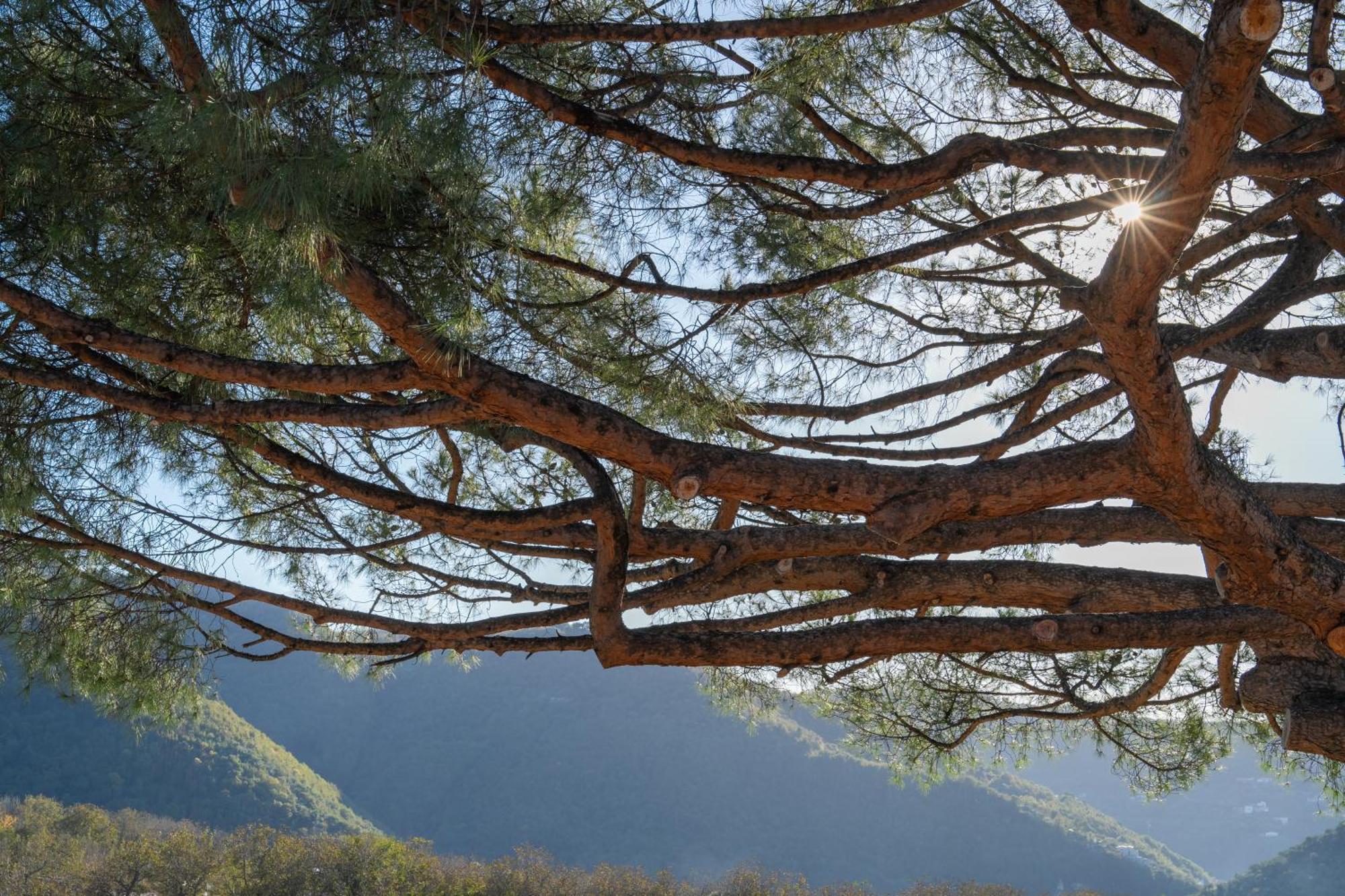 Agriturismo Nonno Luigino ヴィーコ・エクエンセ エクステリア 写真