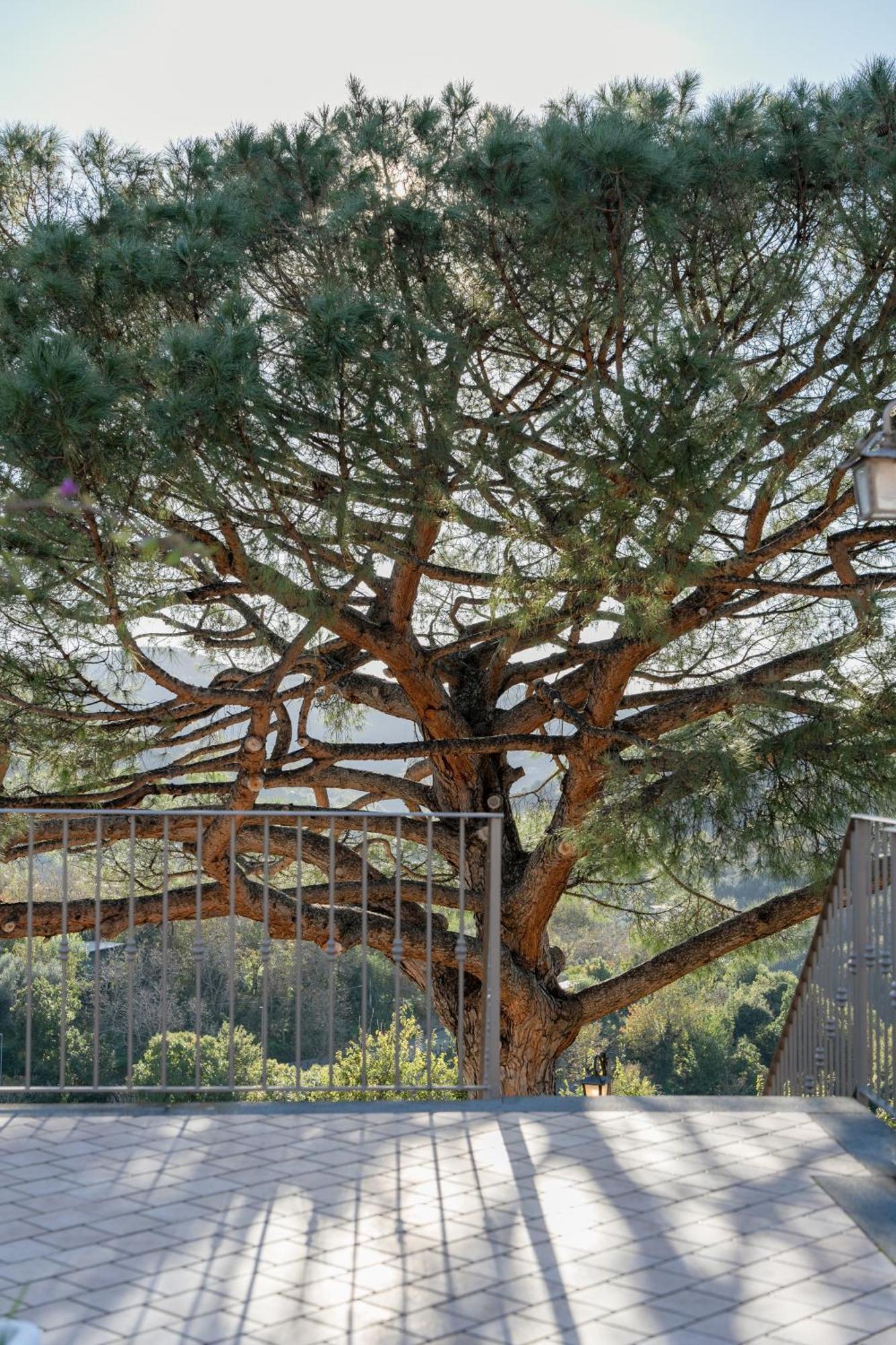 Agriturismo Nonno Luigino ヴィーコ・エクエンセ エクステリア 写真