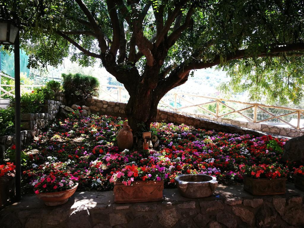 Agriturismo Nonno Luigino ヴィーコ・エクエンセ エクステリア 写真